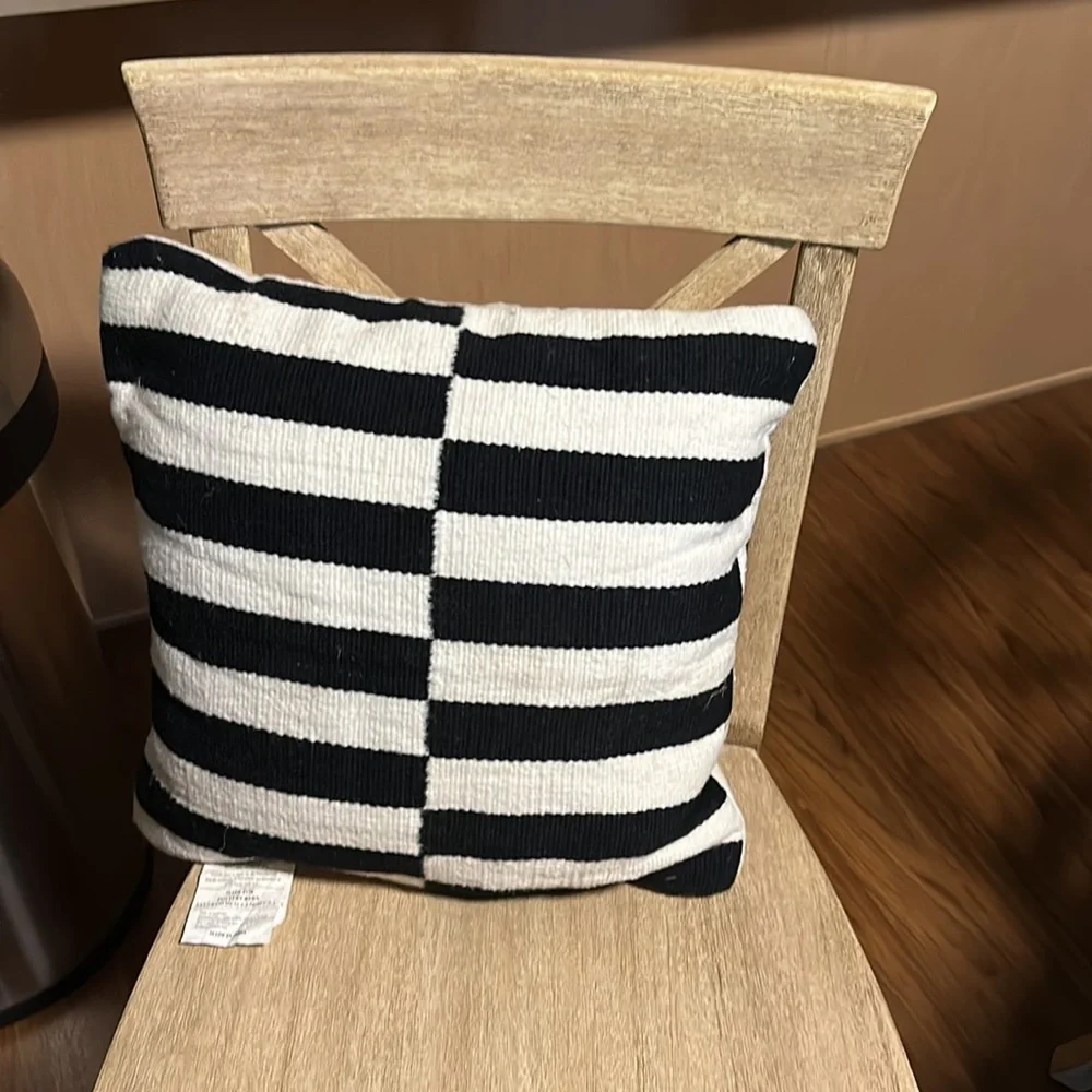 Pottery Barn outdoor pillow